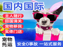 昆明机场快运国际宠物托运 【国